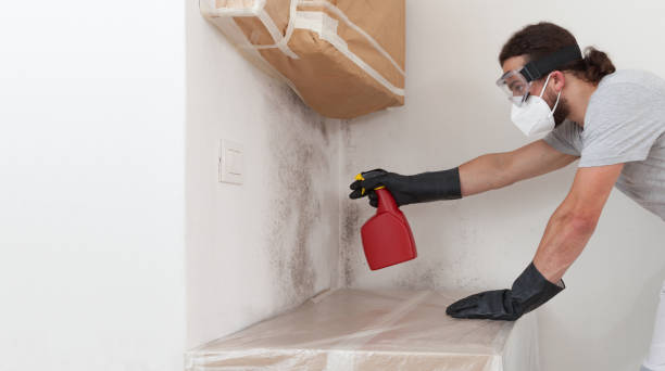 Professional Crawl Space Mold Removal technician working in Broad Top, PA