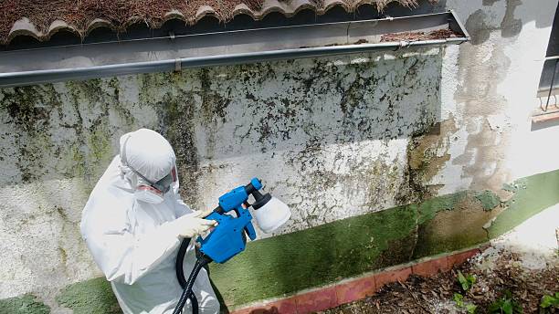 Top rated local Crawl Space Mold Removal specialists in Broad Top, PA